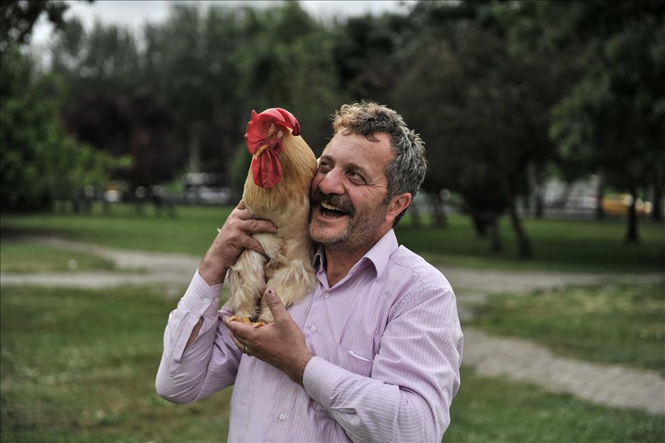 "Bu Behlül başka Behlül"