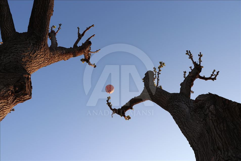 Pamukkale'de balon turları tam "gaz"