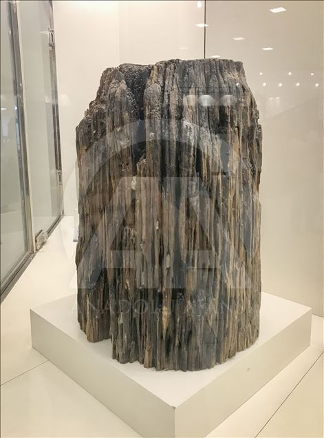 Ecdat yadigarları Mekke Müzesi'nde