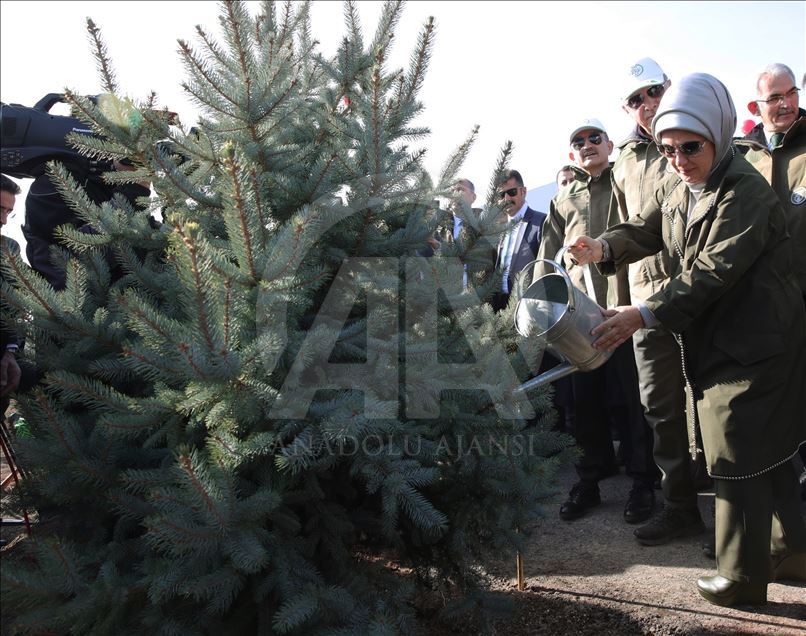 Эрдоган дал старт Национальному дню посадки деревьев
