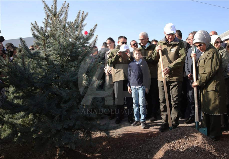 Эрдоган дал старт Национальному дню посадки деревьев
