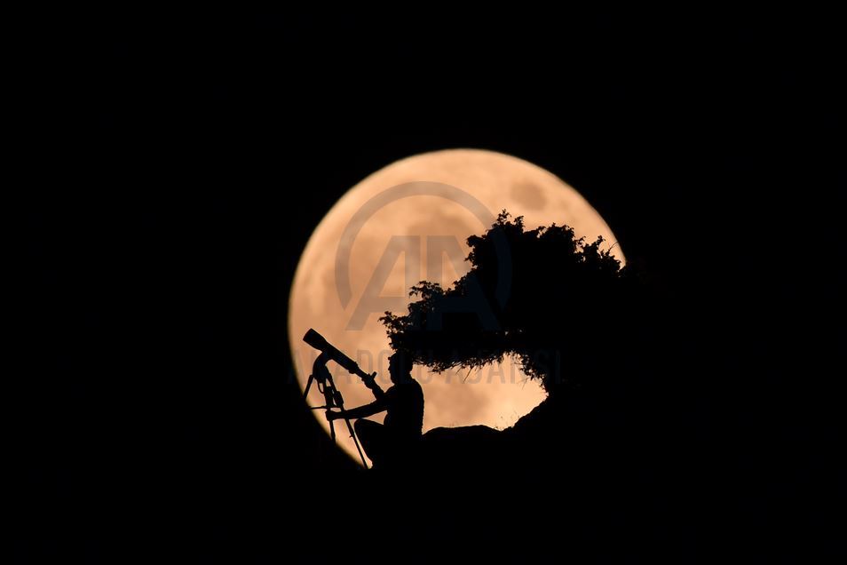 Li Wanê hîva çardeşevî