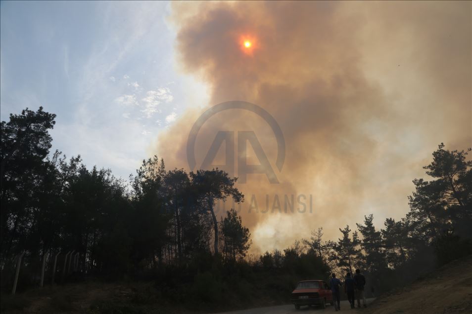 Kahramanmaraş'taki orman yangını sürüyor