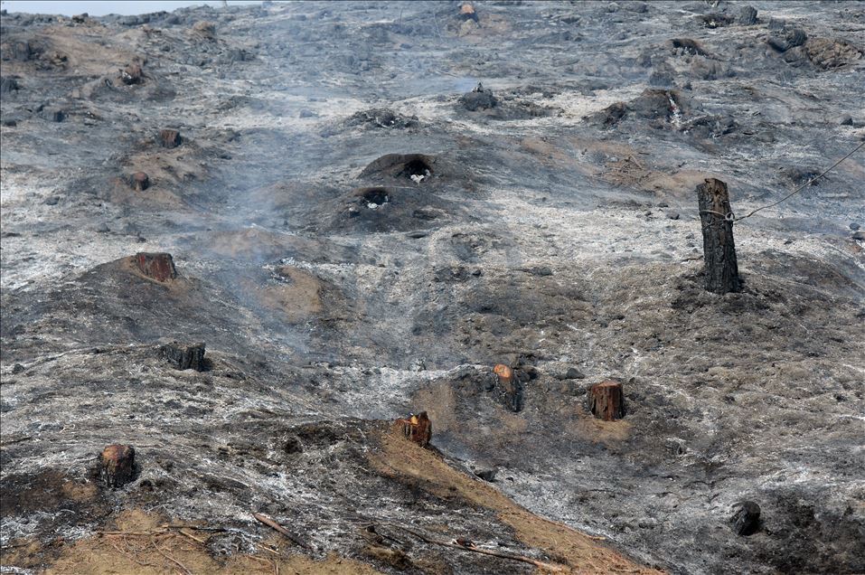 Kahramanmaraş'taki orman yangını sürüyor