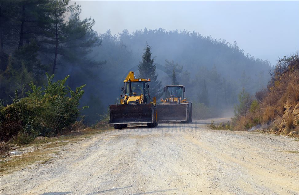 Kahramanmaraş'taki orman yangını sürüyor