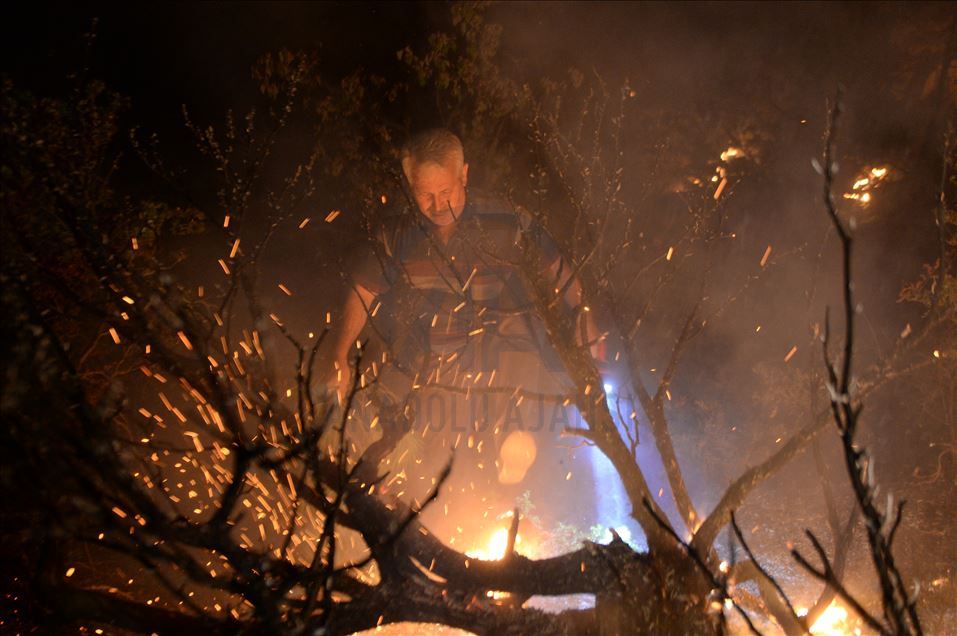 Kahramanmaraş'taki orman yangınına müdahale sürüyor