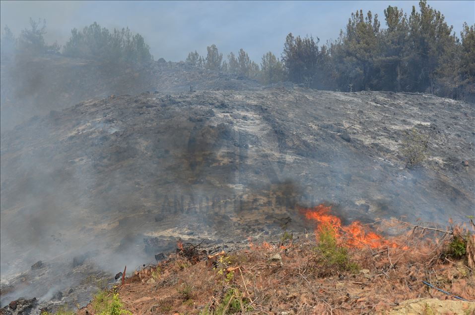 Kahramanmaraş'taki orman yangını sürüyor