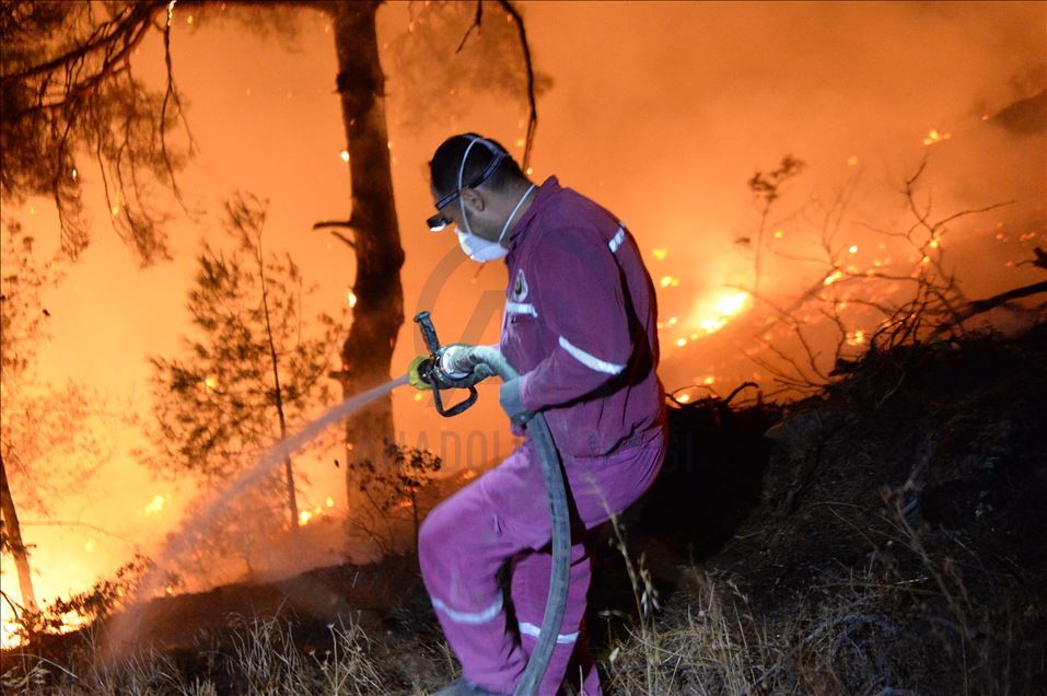 Kahramanmaraş'taki orman yangınına müdahale sürüyor