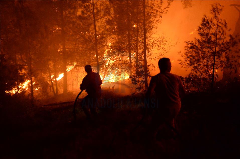 Kahramanmaraş'taki orman yangınına müdahale sürüyor