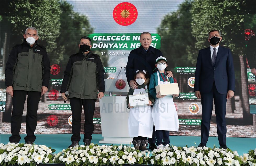 اردوغان: ترکیه در زمینه درختکاری جایگاه نخست در اروپا را دارد