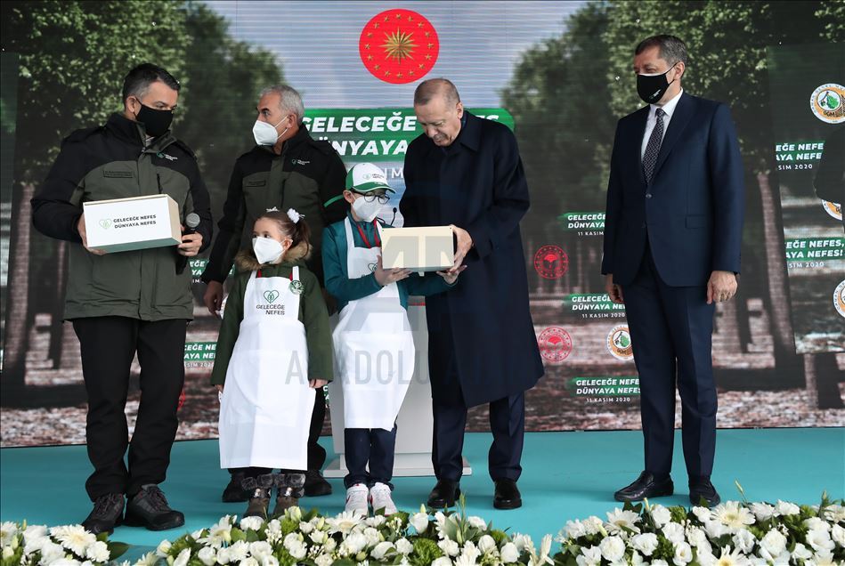 اردوغان: ترکیه در زمینه درختکاری جایگاه نخست در اروپا را دارد