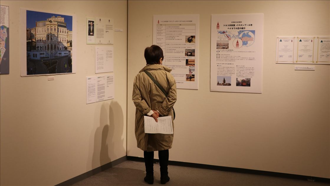 В Токио проходит выставка «Турецкие коты»