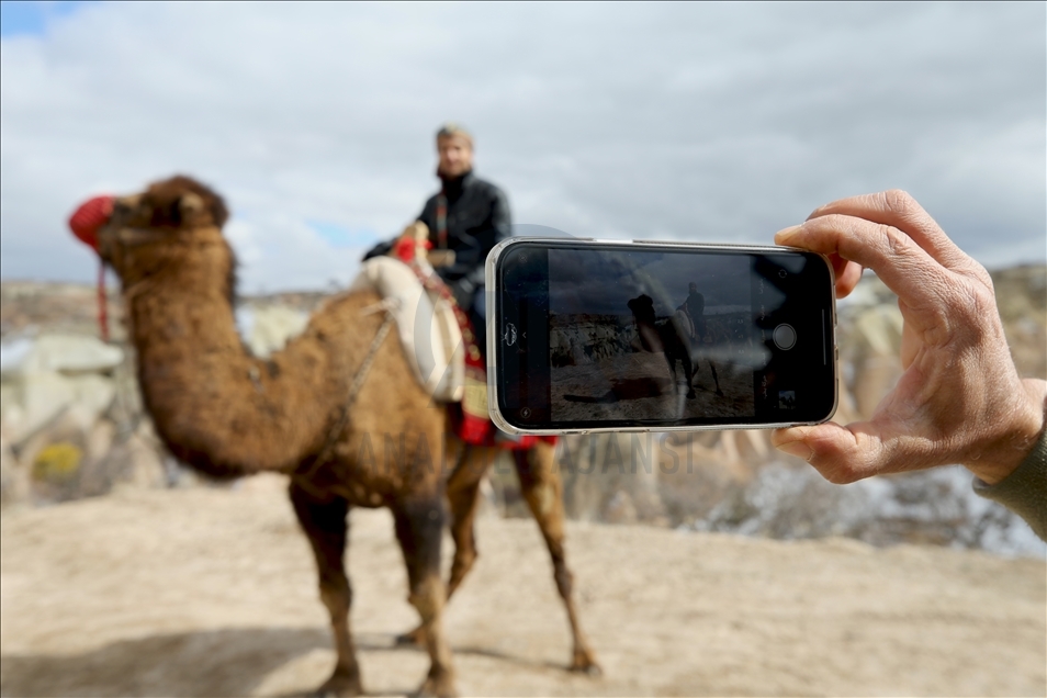 Туры на верблюдах в Каппадокии пользуются особой популярностью