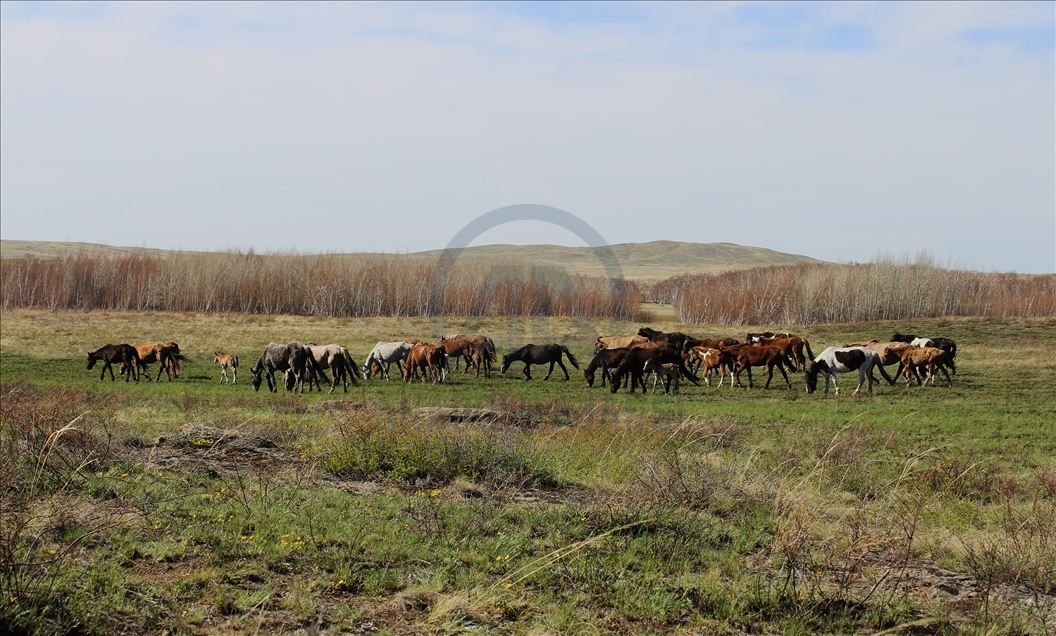 Природные красоты Казахстана: национальный парк «Буйратау»