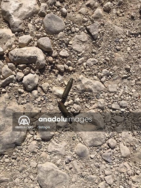 Haiti Devlet Başkanı Moise evinde uğradığı suikast sonucu hayatını kaybetti