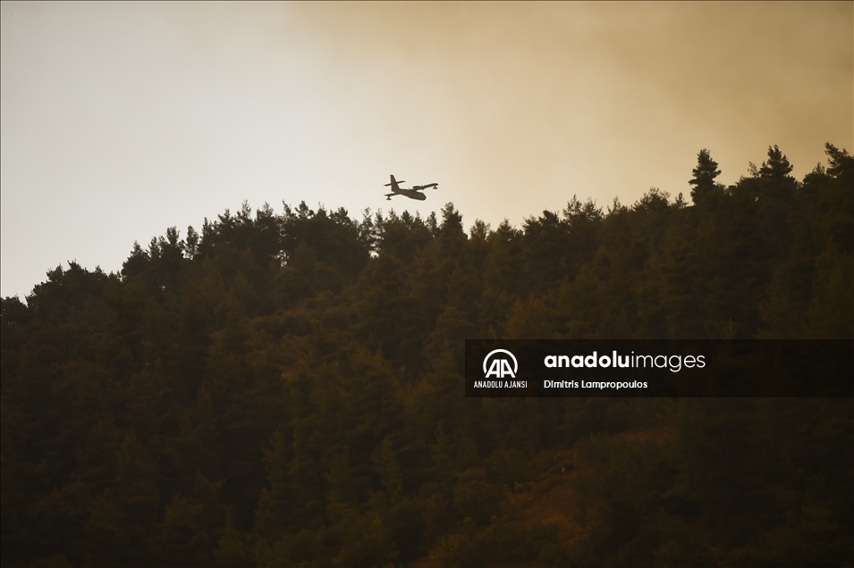 Yunanistan’da orman yangınlarıyla mücadele sürüyor
