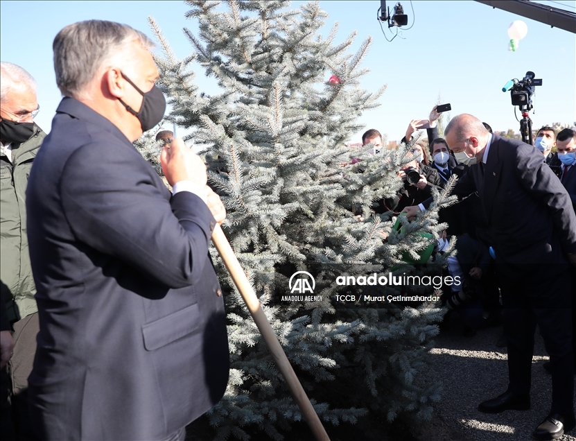 اردوغان: قصد داریم تا پایان سال 2023 میلادی 7 میلیارد اصله نهال در ترکیه بکاریم