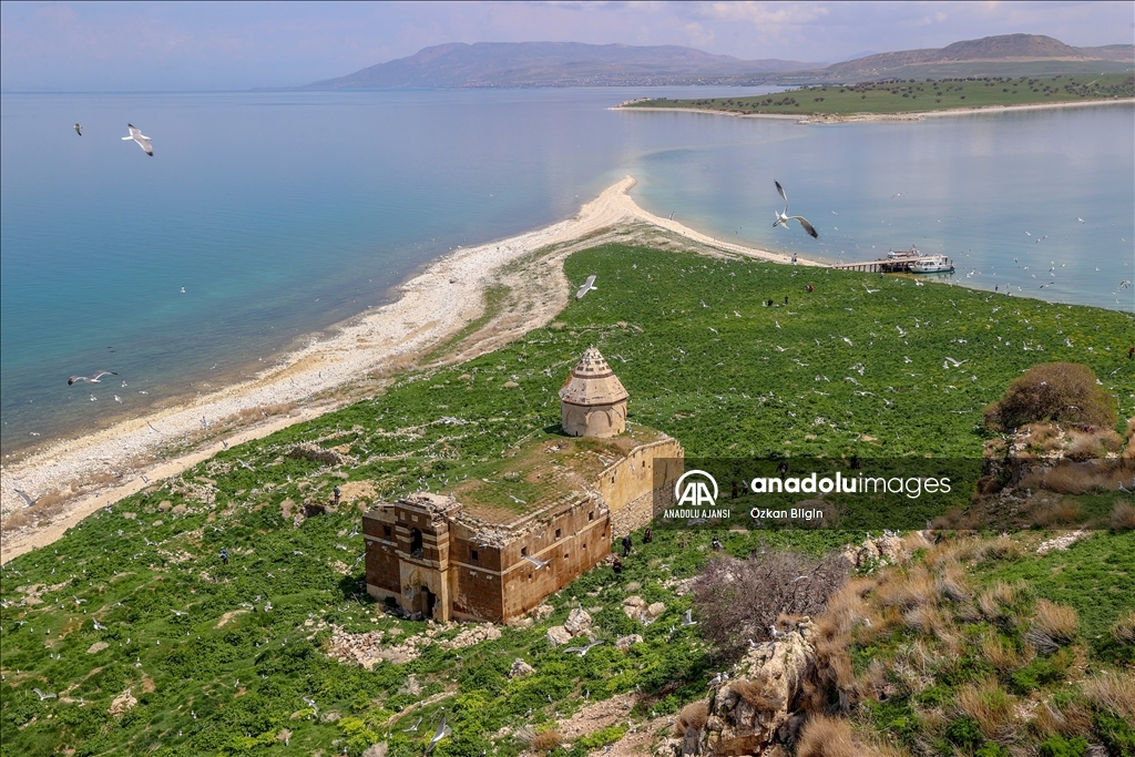 Van Gölü'nün dört adası etkinliklerle tanıtılıyor