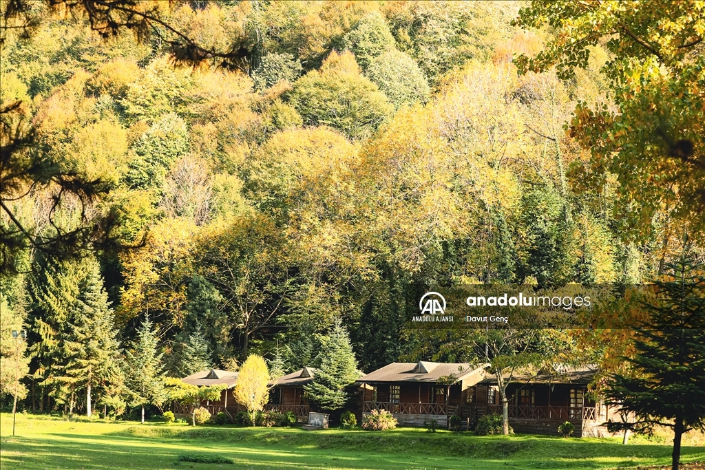 Sakarya'daki Maden Deresi doğaseverlere sonbaharın güzelliklerini yaşatıyor