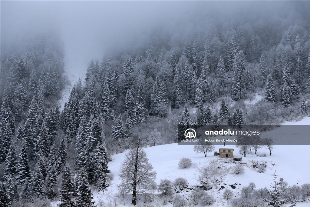 Zigana Dağı'nda kar ve sis etkili oluyor