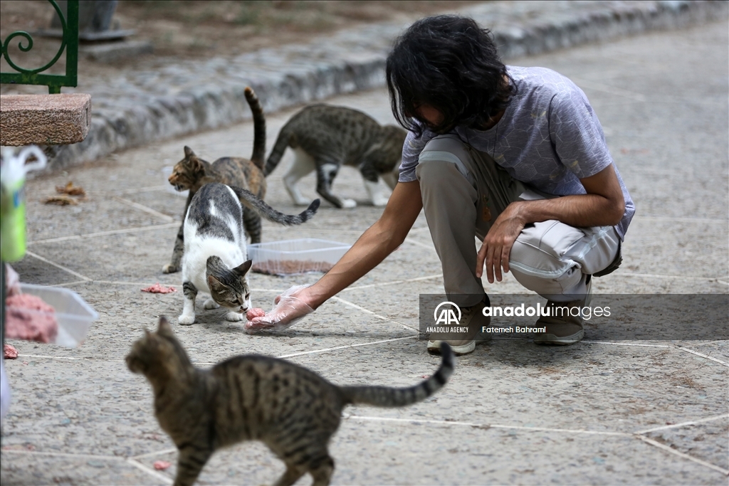 روز جهانی گربه در ایران