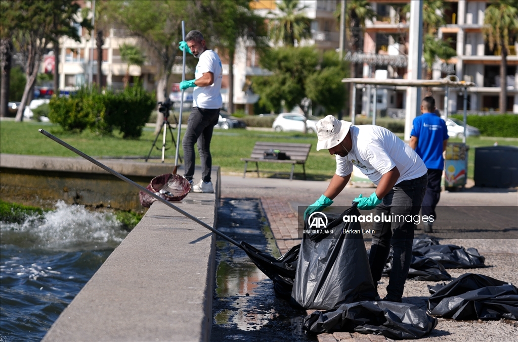 İzmir Körfezi'nde balık ölümleri devam ediyor