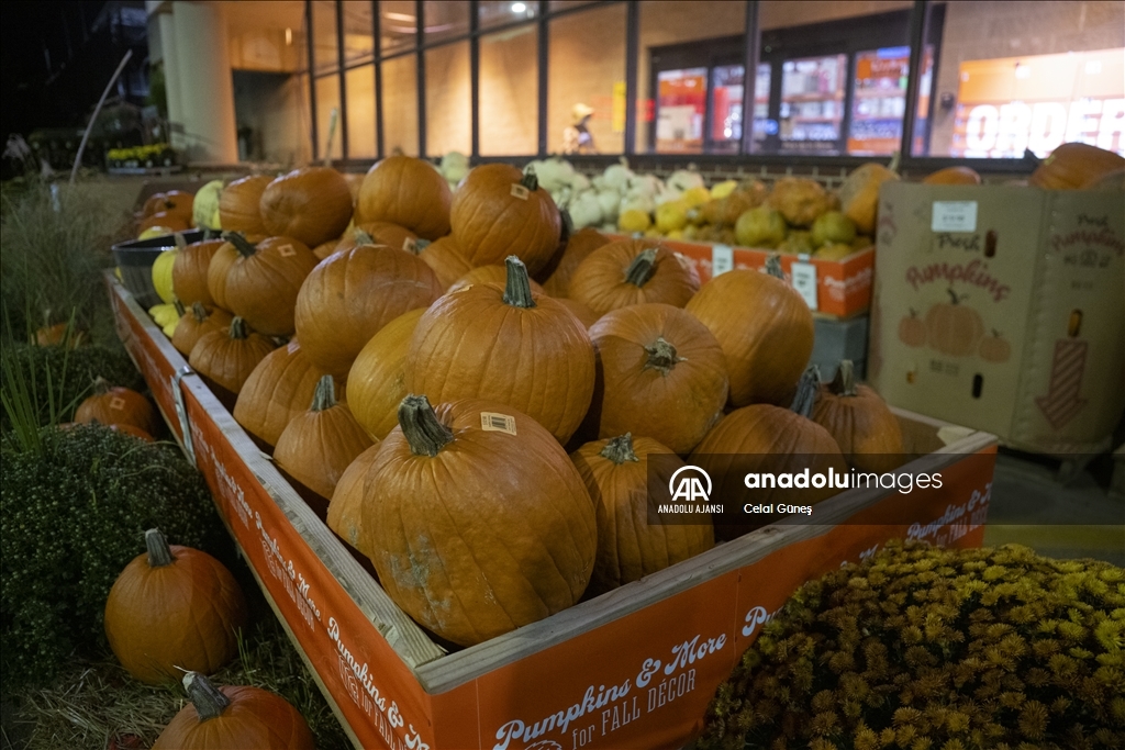 ABD'nin Virginia eyaletinde Cadılar Bayramı hazırlıkları