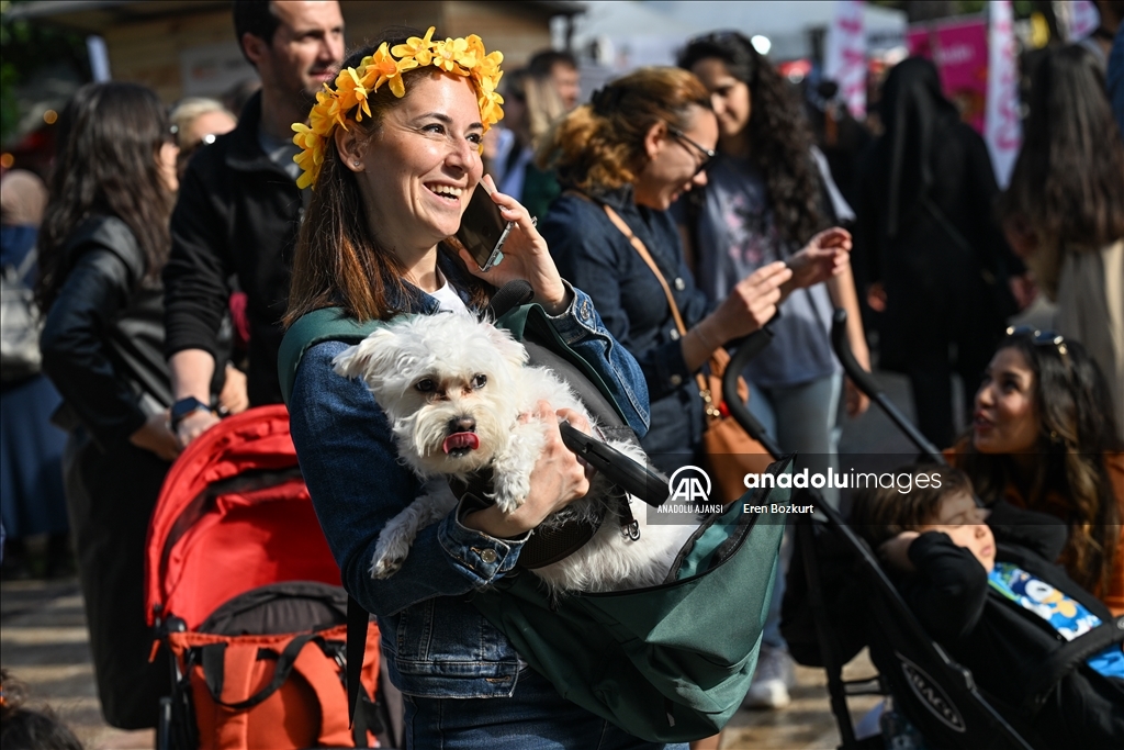 Uluslararası Portakal Çiçeği Karnavalı başladı