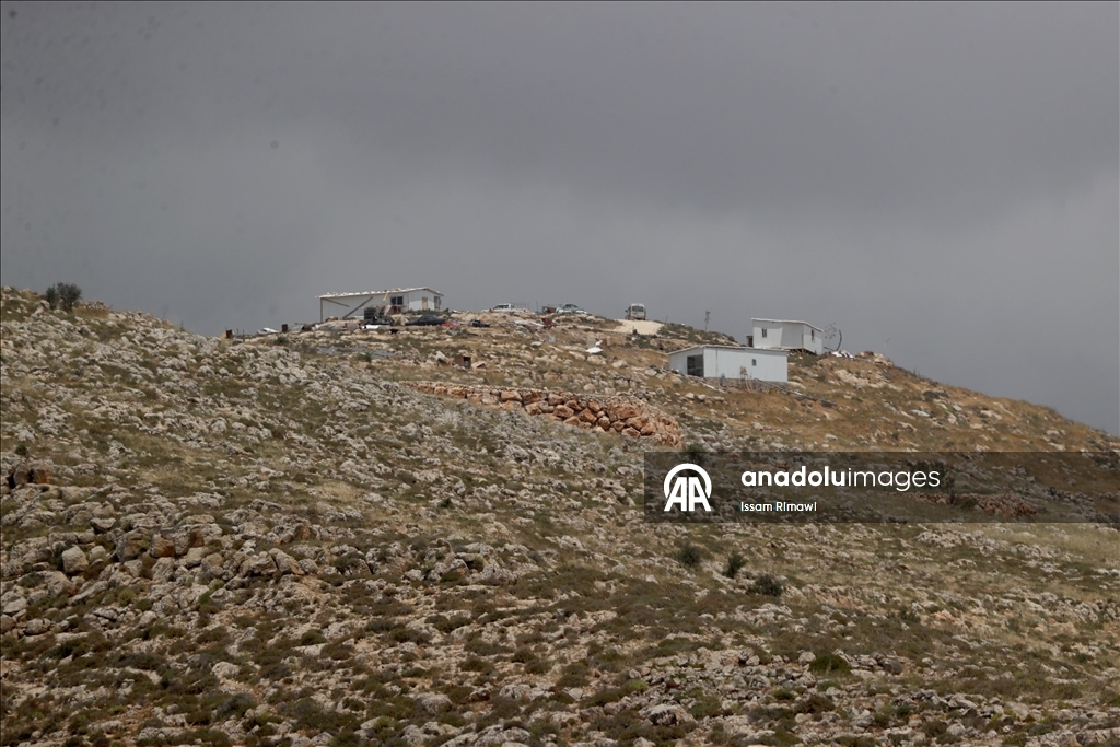 Israelis uproot olive trees in West Bank