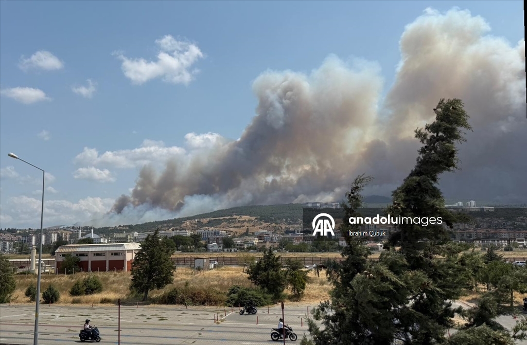 Çanakkale'de tarım arazisinde başlayıp ormana sıçrayan yangına müdahale ediliyor
