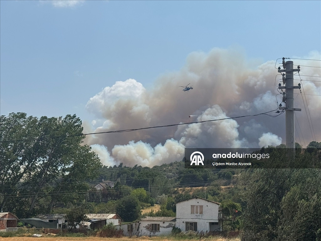 Çanakkale'de tarım arazisinde başlayıp ormana sıçrayan yangına müdahale ediliyor