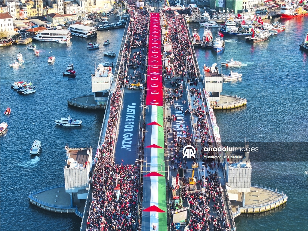 В Стамбуле проходит масштабная акция солидарности с Палестиной