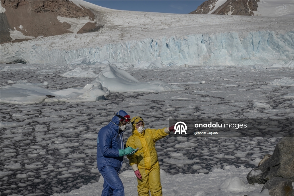 Природа Антарктиды под давлением пластиковых отходов