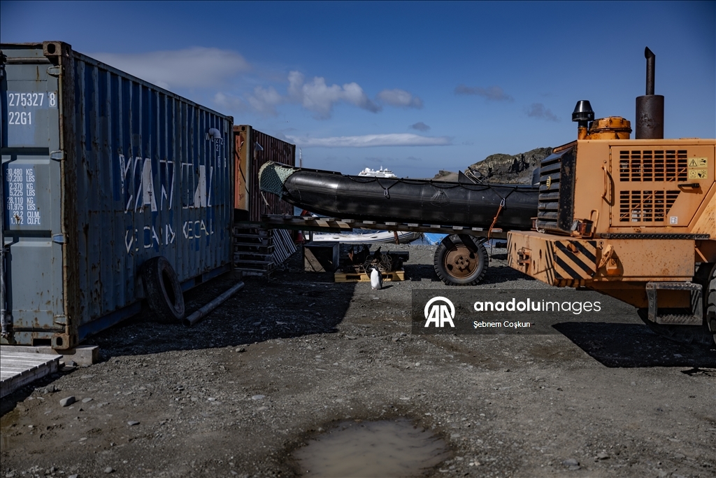 Природа Антарктиды под давлением пластиковых отходов