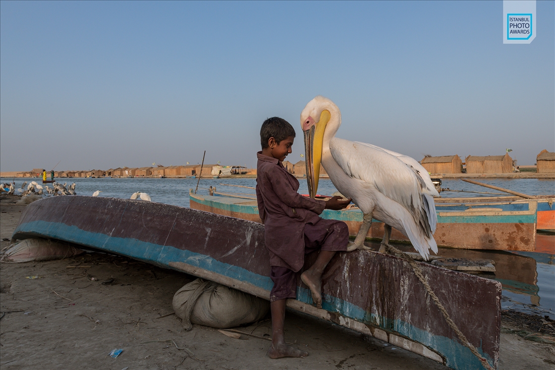 Winners of Istanbul Photo Awards 2026 announced - Single Nature and Environment