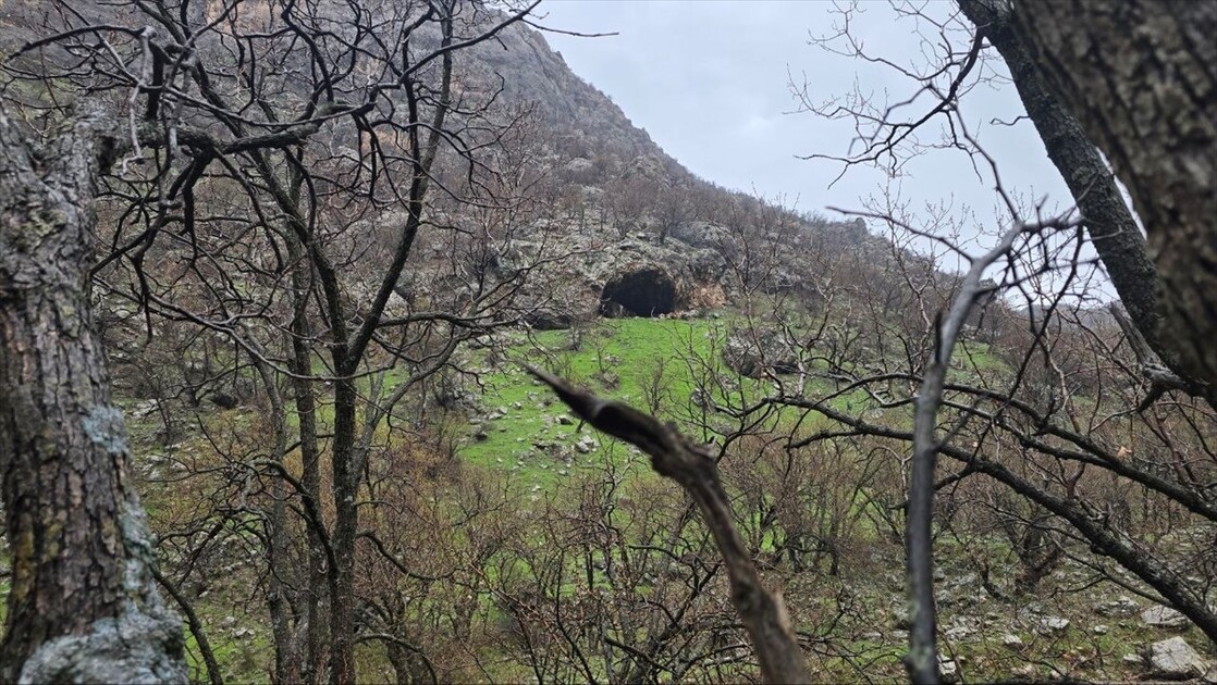سرووشتی پەرەخ لە بەهاردا تابلۆیەکی زیندووە لە چیاکانی زاخۆ دا