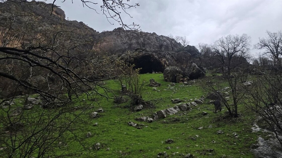 سرووشتی پەرەخ لە بەهاردا تابلۆیەکی زیندووە لە چیاکانی زاخۆ دا