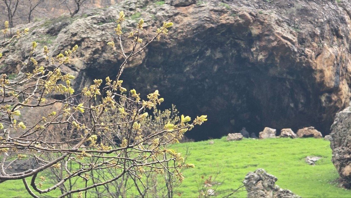 سرووشتی پەرەخ لە بەهاردا تابلۆیەکی زیندووە لە چیاکانی زاخۆ دا
