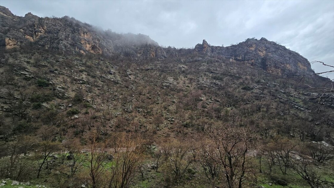 سرووشتی پەرەخ لە بەهاردا تابلۆیەکی زیندووە لە چیاکانی زاخۆ دا