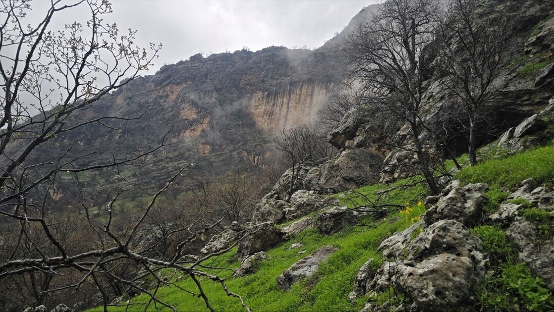 سرووشتی پەرەخ لە بەهاردا تابلۆیەکی زیندووە لە چیاکانی زاخۆ دا