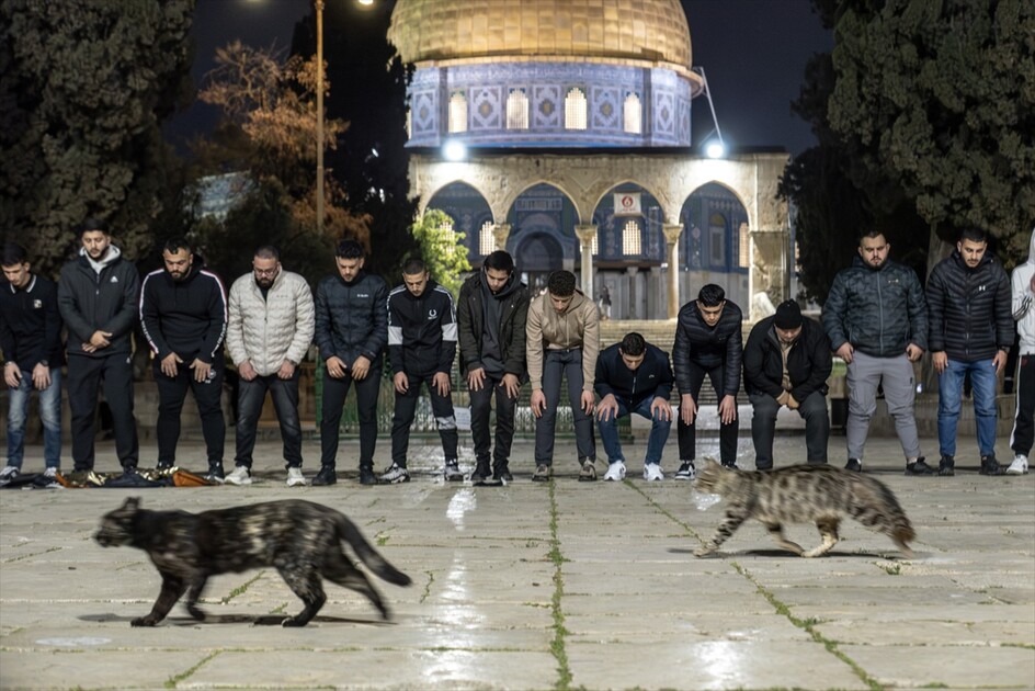 Al-Aqsa Mosque reopens after 40-day closure by Israel