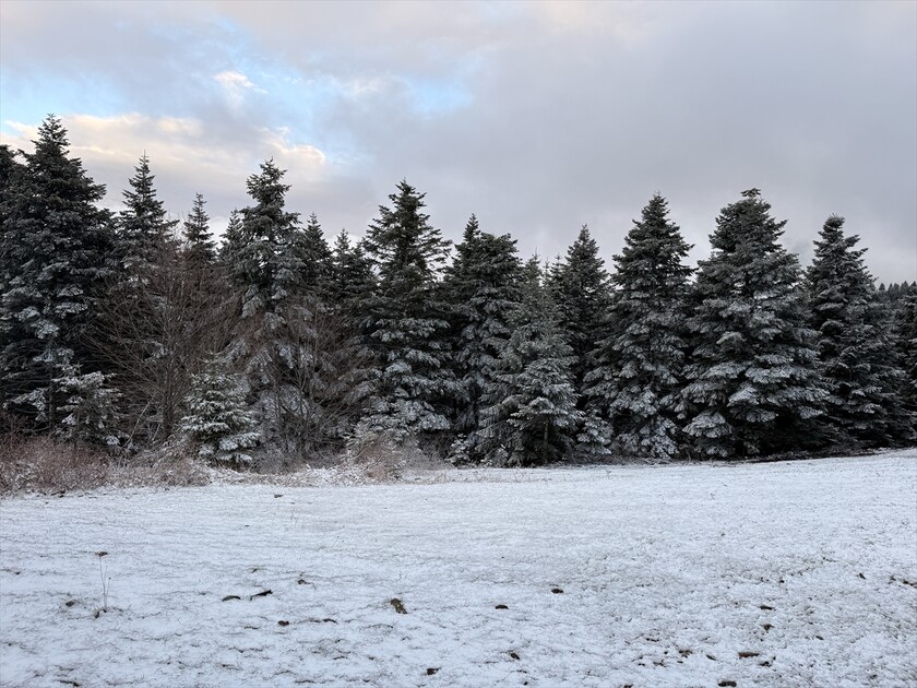 Samsun'da nisan ayında yağan kar doğayı beyaza bürüdü