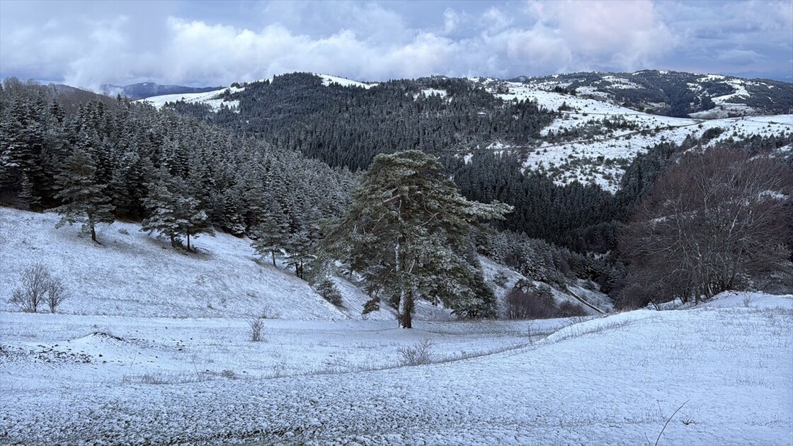 Samsun'da nisan ayında yağan kar doğayı beyaza bürüdü