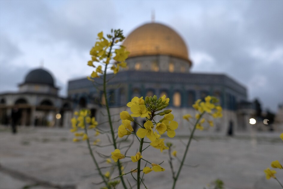 Al-Aqsa Mosque reopens after 40-day closure by Israel