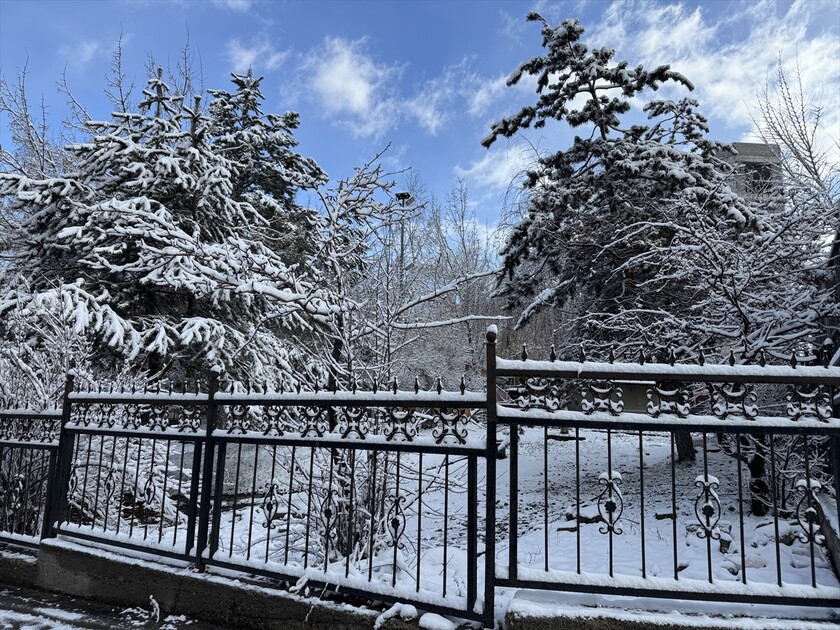 Erzurum'da kar etkili oldu