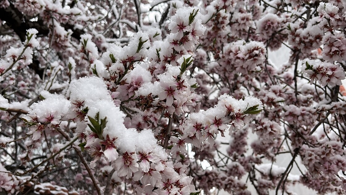 Yozgat'ta nisanda kar yağışı etkili oldu