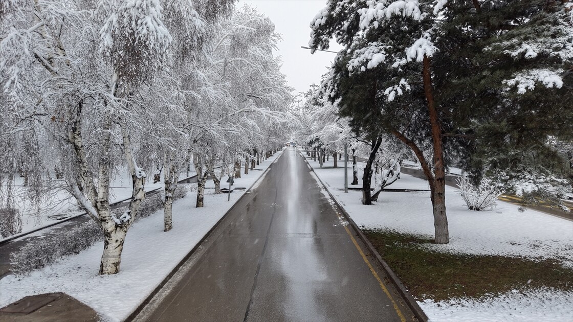 لە ١٦٣ گوند و ئاوایی باکووری ڕۆژهەڵاتی تورکیا بە هۆی بەفرەوە ڕێگەکان داخراون