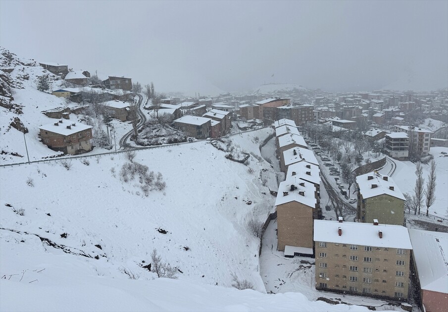 Hakkari'de kar etkili oldu