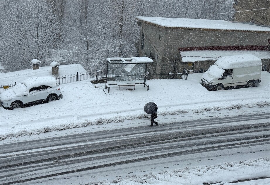 Hakkari'de kar etkili oldu