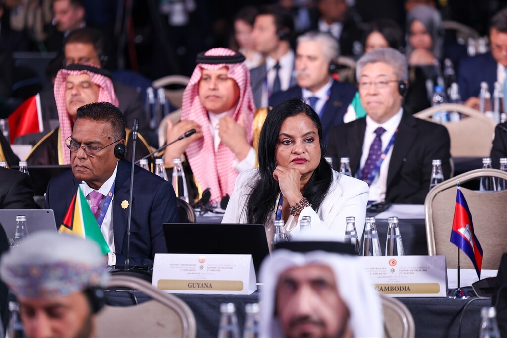 قورتولموش: الاعتراف بفلسطين ضرورة ملحة لدفع حل الدولتين